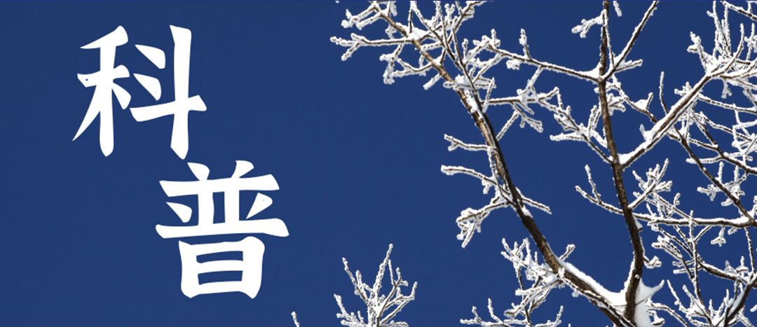 科普 | 冬季雨雪天氣?；愤\(yùn)輸車輛注意事項